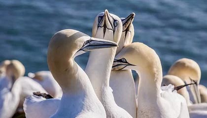 保山2026年最新杭州高端商务伴游招聘网渠道分享(最方便真实的保山茉莉伴游伴游天下全国联盟方法)