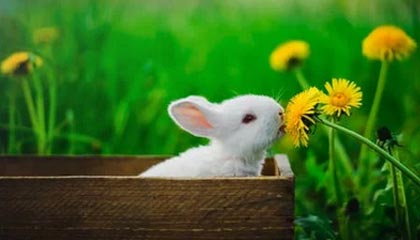 保山2026年最新北京商务伴游经纪招聘渠道分享(最方便真实的保山北京爱特博旅运服务有限责任公司招聘方法)